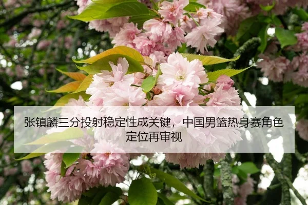 zhang-zhen-lin-san-fen-tou-she-wen-ding-xing-cheng-guan-jian-zhong-guo-nan-lan-re-shen-sai-jue-se-ding-wei-zai-shen-shi-3-314.jpg