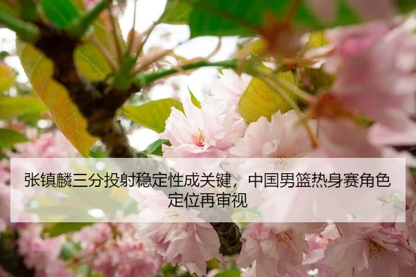 张镇麟三分投射稳定性成关键，中国男篮热身赛角色定位再审视