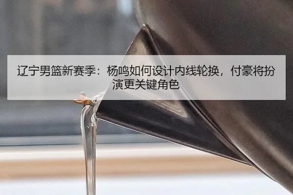 辽宁男篮新赛季：杨鸣如何设计内线轮换，付豪将扮演更关键角色